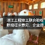 湛江工程竣工联合验收新规征求意见，企业须知关键要点（图4）
