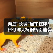 海底 海底