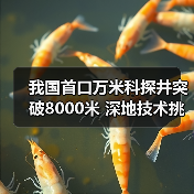 我国首口万米科探井突破8000米 深地技术挑战极限（图4）