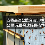 安徽高速公路突破5000公里 无岳高速绿色技术如何助力？（图4）