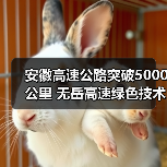 安徽高速公路突破5000公里 无岳高速绿色技术如何助力？（图1）