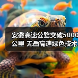 安徽高速公路突破5000公里 无岳高速绿色技术如何助力？（图2）