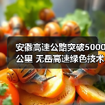 安徽高速公路突破5000公里 无岳高速绿色技术如何助力？（图3）