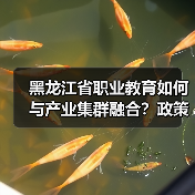黑龙江省职业教育如何与产业集群融合?政策解读(图3) 黑龙江省职业教育如何与产业集群融合?政策解读(图3)