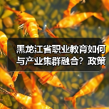 黑龙江省职业教育如何与产业集群融合?政策解读(图4) 黑龙江省职业教育如何与产业集群融合?政策解读(图4)