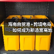 海南自贸港+跨境电商:如何成为新造富高地?(图4) 海南自贸港+跨境电商:如何成为新造富高地?(图4)