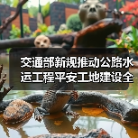 交通部新规推动公路水运工程平安工地建设全覆盖（图3）