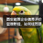 西安监理企业信用评价管理新规,如何规范建筑市场秩序?(图1) 西安监理企业信用评价管理新规,如何规范建筑市场秩序?(图1)