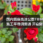 国内首座高速公路TBM施工平导洞贯通 开启隧道智能建造新篇章(图4) 国内首座高速公路TBM施工平导洞贯通 开启隧道智能建造新篇章(图4)