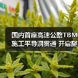 国内首座高速公路TBM施工平导洞贯通 开启隧道智能建造新篇章(图1) 国内首座高速公路TBM施工平导洞贯通 开启隧道智能建造新篇章(图1)