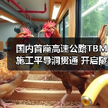 国内首座高速公路TBM施工平导洞贯通 开启隧道智能建造新篇章(图2) 国内首座高速公路TBM施工平导洞贯通 开启隧道智能建造新篇章(图2)