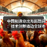 中国制造业出海新路径:技术创新撬动全球市场布局(图2) 中国制造业出海新路径:技术创新撬动全球市场布局(图2)