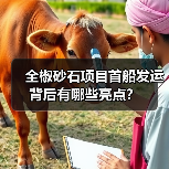 全椒砂石项目首船发运背后有哪些亮点？（图3）