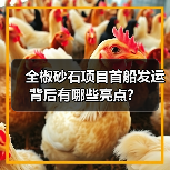 全椒砂石项目首船发运背后有哪些亮点？（图1）