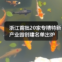 浙江首批20家专精特新产业园创建名单出炉（图2）