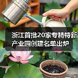 浙江首批20家专精特新产业园创建名单出炉（图1）