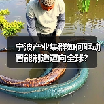 宁波产业集群如何驱动智能制造迈向全球?(图1) 宁波产业集群如何驱动智能制造迈向全球?(图1)