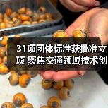 31项团体标准获批准立项 聚焦交通领域技术创新与规范发展（图1）