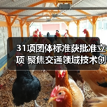 31项团体标准获批准立项 聚焦交通领域技术创新与规范发展（图2）