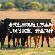 塔式起重机施工方案编写规范实施,安全操作指南详解(图2) 塔式起重机施工方案编写规范实施,安全操作指南详解(图2)