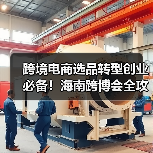 跨境电商选品转型创业必备！海南跨博会全攻略来了（图4）