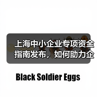 上海中小企业专项资金指南发布,如何助力企业腾飞?(图4) 上海中小企业专项资金指南发布,如何助力企业腾飞?(图4)
