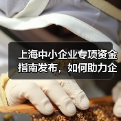 上海中小企业专项资金指南发布,如何助力企业腾飞?(图3) 上海中小企业专项资金指南发布,如何助力企业腾飞?(图3)