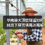 华南最大顶管隧道如何挑战下穿莞佛高速高架桥？（图2）