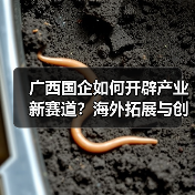 广西国企如何开辟产业新赛道?海外拓展与创新并举(图2) 广西国企如何开辟产业新赛道?海外拓展与创新并举(图2)