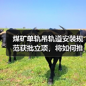 煤矿单轨吊轨道安装规范获批立项，将如何推动行业标准化？（图2）