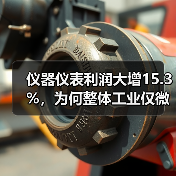 仪器仪表利润大增15.3%,为何整体工业仅微增0.8%?(图1) 仪器仪表利润大增15.3%,为何整体工业仅微增0.8%?(图1)