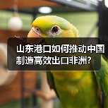 山东港口如何推动中国制造高效出口非洲?(图1) 山东港口如何推动中国制造高效出口非洲?(图1)