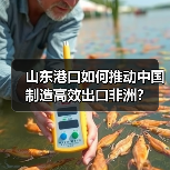 山东港口如何推动中国制造高效出口非洲?(图3) 山东港口如何推动中国制造高效出口非洲?(图3)