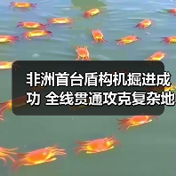 非洲首台盾构机掘进成功 全线贯通攻克复杂地质(图3) 非洲首台盾构机掘进成功 全线贯通攻克复杂地质(图3)