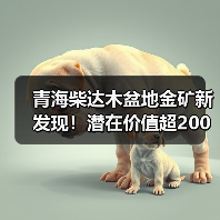 青海柴达木盆地金矿新发现！潜在价值超200亿（图2）