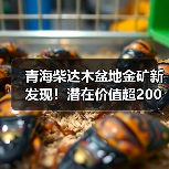 青海柴达木盆地金矿新发现！潜在价值超200亿（图1）