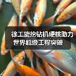 徐工旋挖钻机硬核助力世界超级工程突破(图4) 徐工旋挖钻机硬核助力世界超级工程突破(图4)