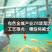 有色金属产业28项淘汰工艺曝光：哪些将被全面清退？（图2）