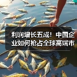 利润增长五成!中国企业如何抢占全球高端市场?(图4) 利润增长五成!中国企业如何抢占全球高端市场?(图4)