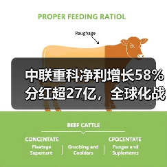 中联重科净利增长58% 分红超27亿,全球化战略如何助力?(图1) 中联重科净利增长58% 分红超27亿,全球化战略如何助力?(图1)