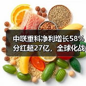 中联重科净利增长58% 分红超27亿,全球化战略如何助力?(图4) 中联重科净利增长58% 分红超27亿,全球化战略如何助力?(图4)