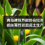 青岛建筑节能协会批准低碳高性能混凝土生产规程立项（图2）