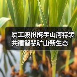 厦工股份携手山河特装共建智慧矿山新生态（图1）