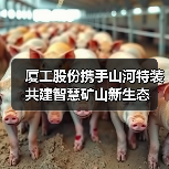 厦工股份携手山河特装共建智慧矿山新生态（图4）