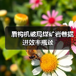盾构机破局煤矿岩巷掘进效率瓶颈（图2）