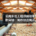 云南多地工程项目迎来新突破：高铁隧道高速公路建设齐推进（图3）