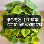 绿色高效+驻矿服务，徐工矿山机械如何突破严苛环境？（图1）