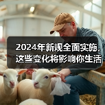 2024年新规全面实施，这些变化将影响你生活（图2）