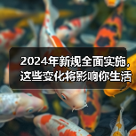2024年新规全面实施，这些变化将影响你生活（图1）