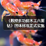 《数控多功能木工六面钻》团体标准正式实施，行业规范迎来新升级（图1）